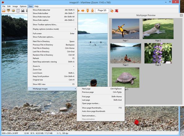 IrfanView for Images and Pictures